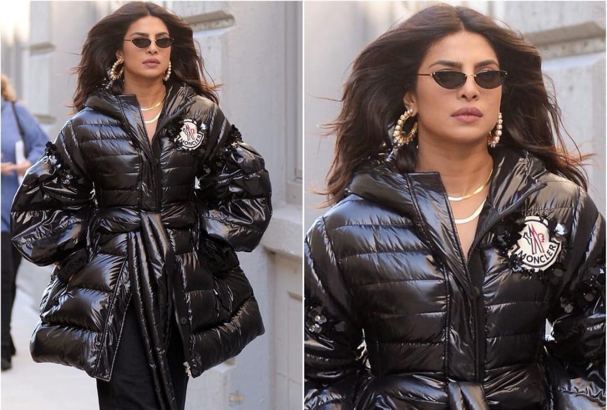 priyanka chopra spoken up in support of the white tiger director ramin bahrani for racism in america
