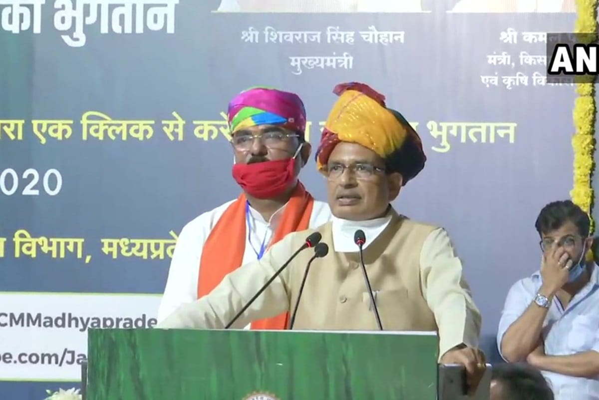 Madhya pradesh by election three minister lost their seat and nine won see whole list