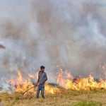 पराली जलाते किसान