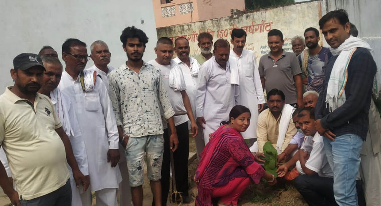 BJP workers planted saplings