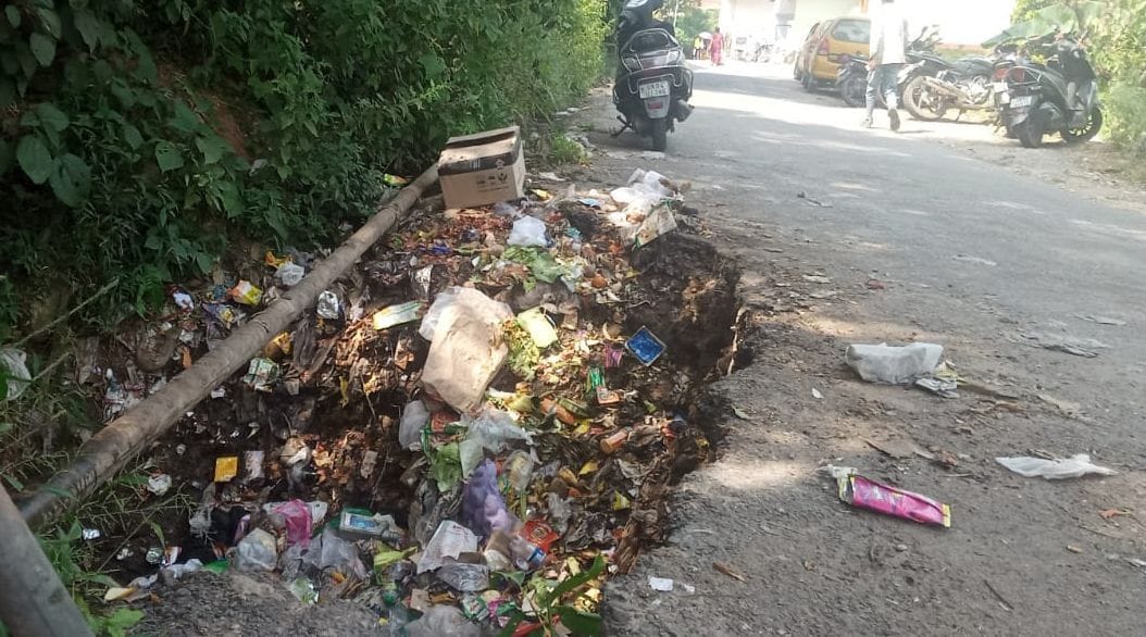 Garbage spreading on the road in Nadiagaon