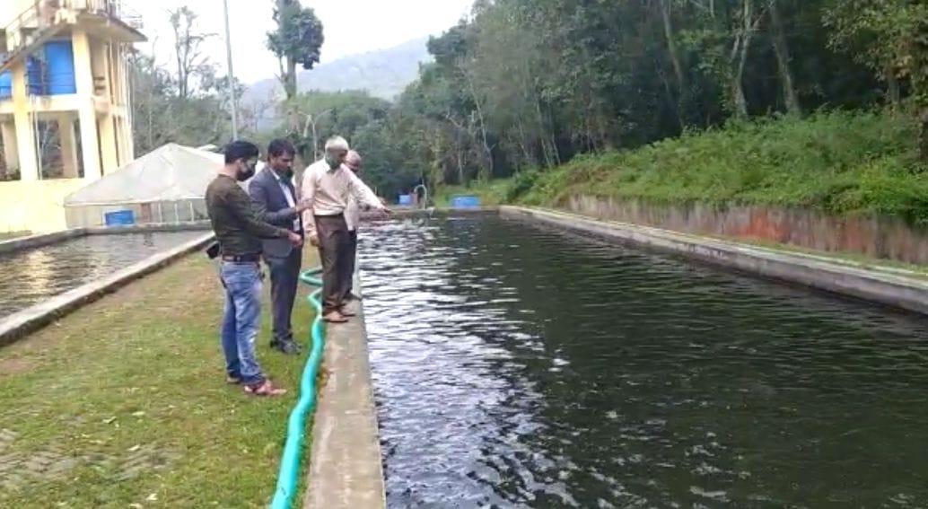 Fishreis in Champawat