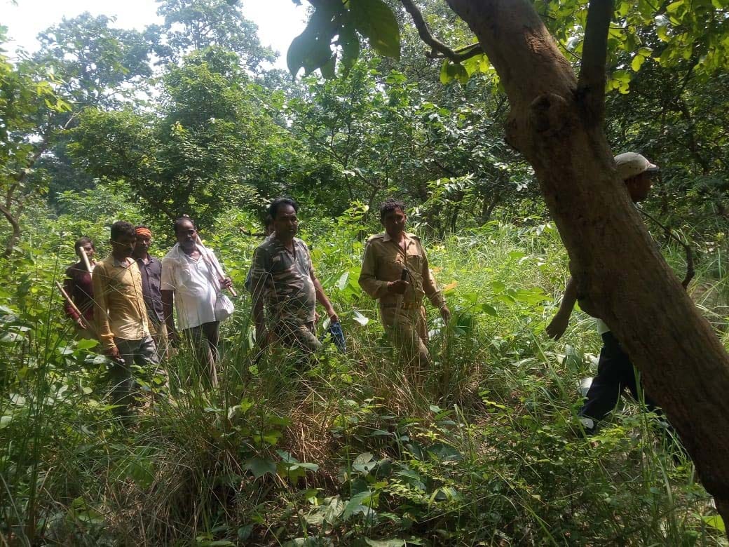 men intered in tiger residencial society
