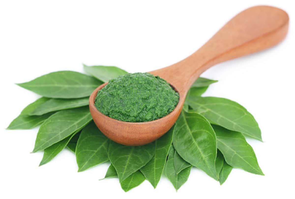 get black hair naturally with indigo powder method how to use