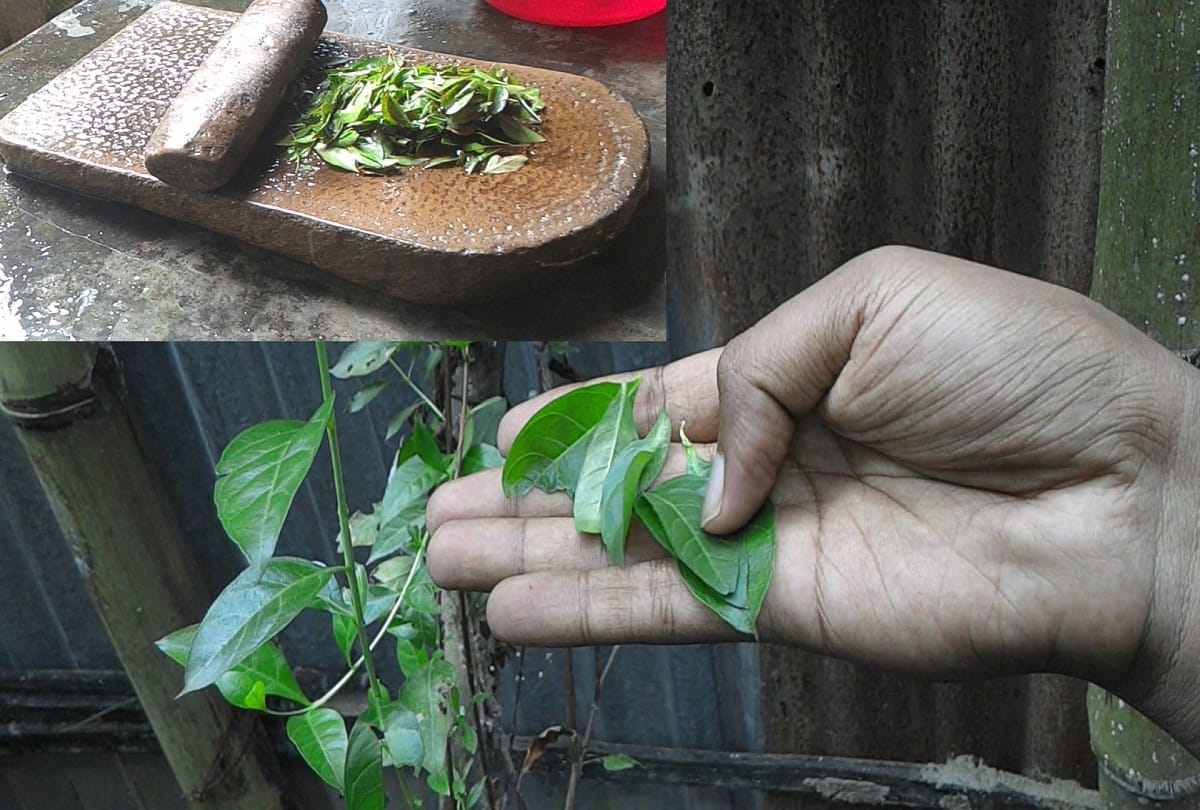 hartalika teej 2023 interesting story behind applying mehndi