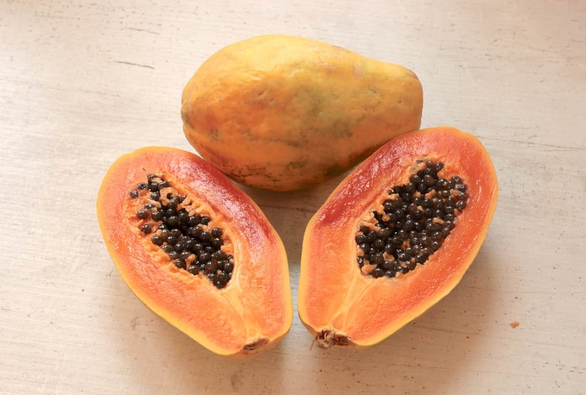 papaya seeds health benefits in hindi papaya seeds uses benefits advantages