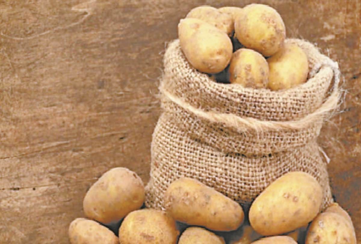 potato rates are rising due to slow clearance from cold storage in uttar pradesh