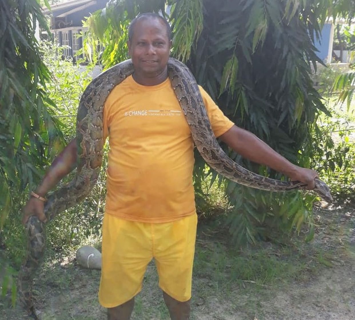 Python At Farm House