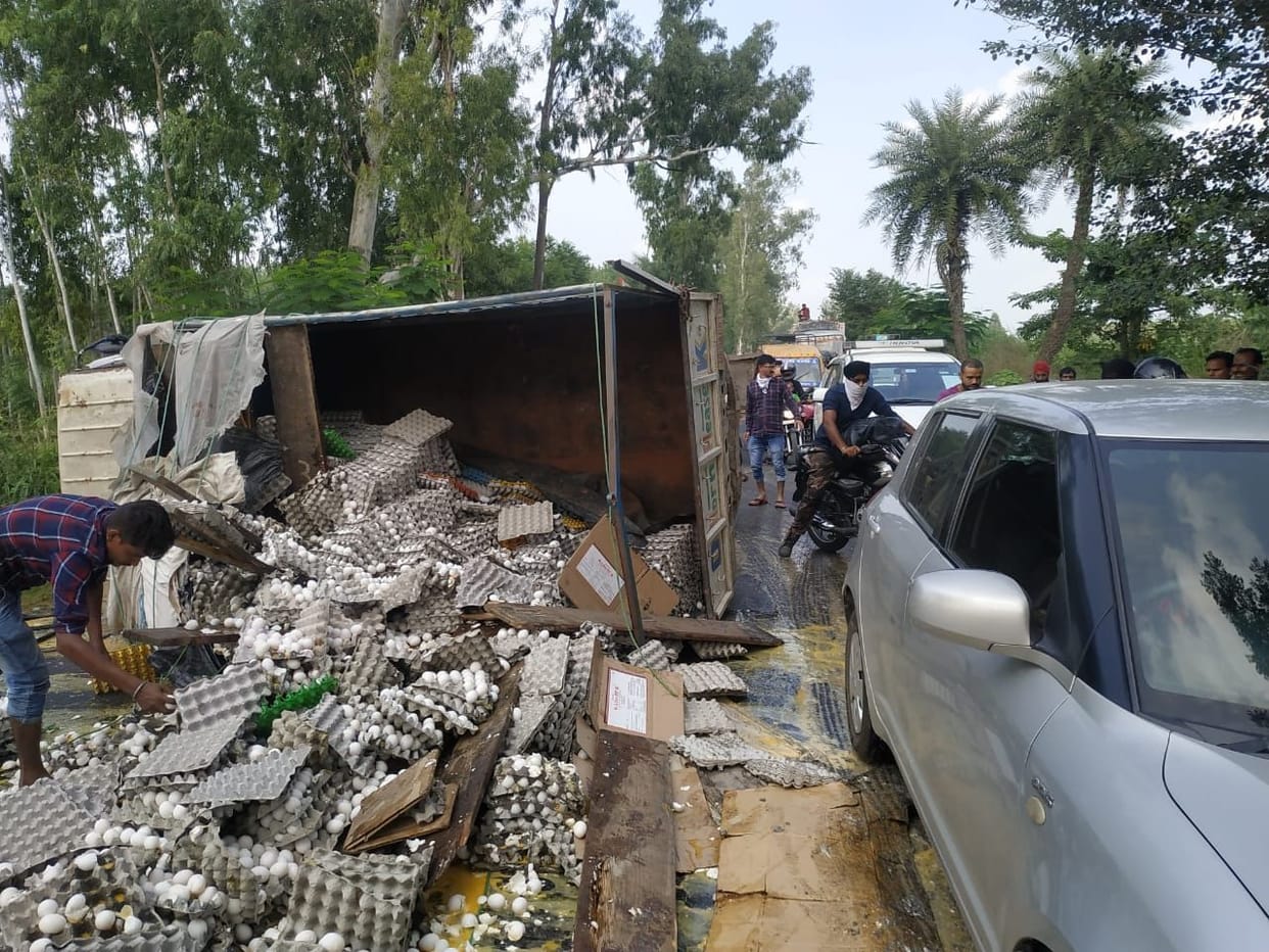Truck Slides, Eggs Looted