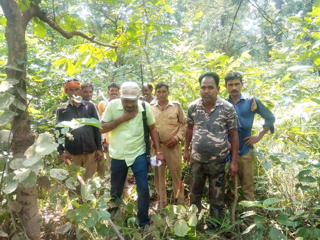 tiger in khiri