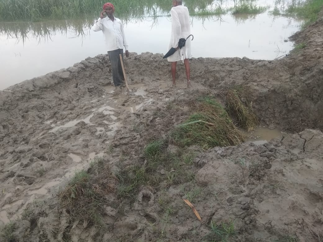 Amar Ujala Exclusive: Biodiversity being searched in the water bodies of the district