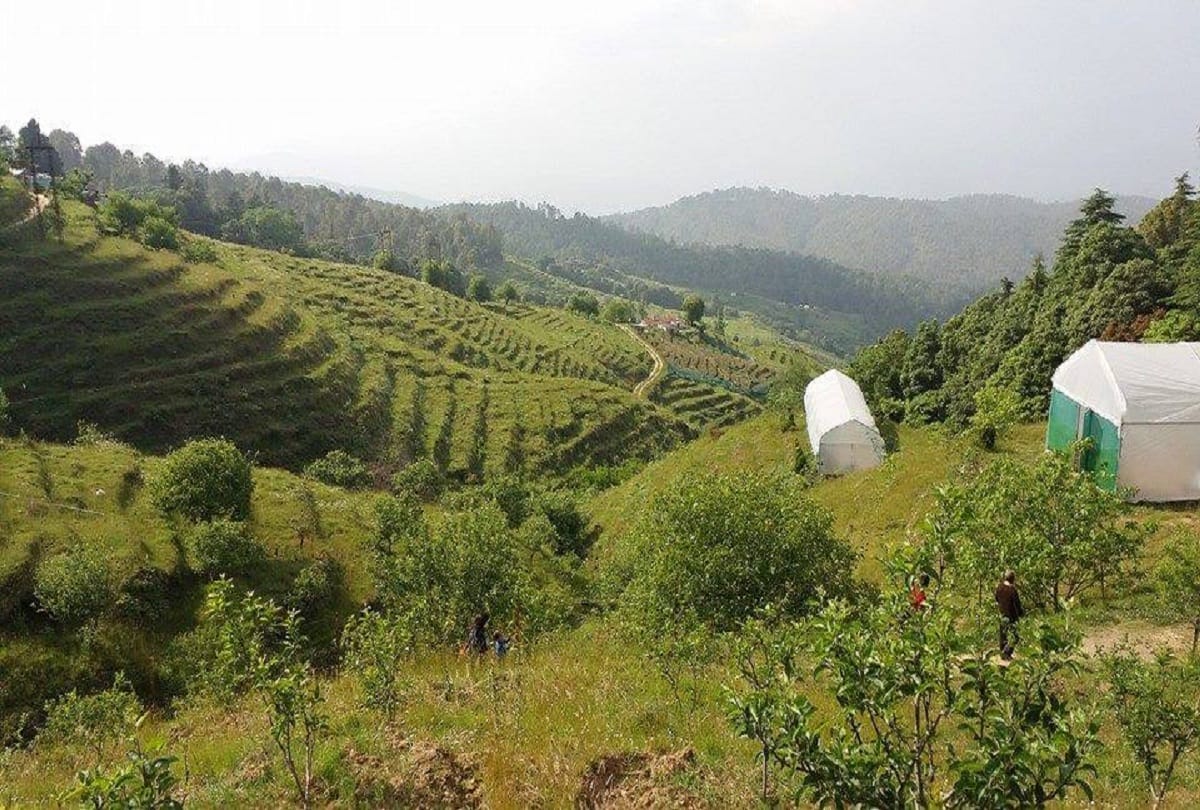 Beautiful hill station Ranikhet in India