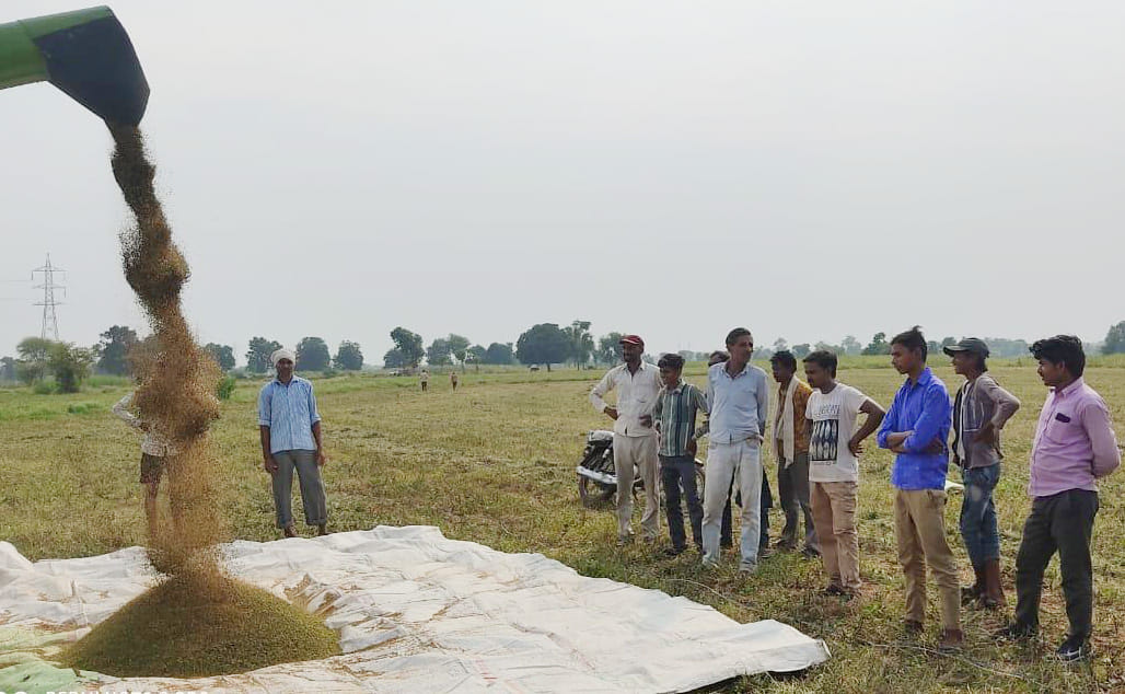 agriculture loss in this season