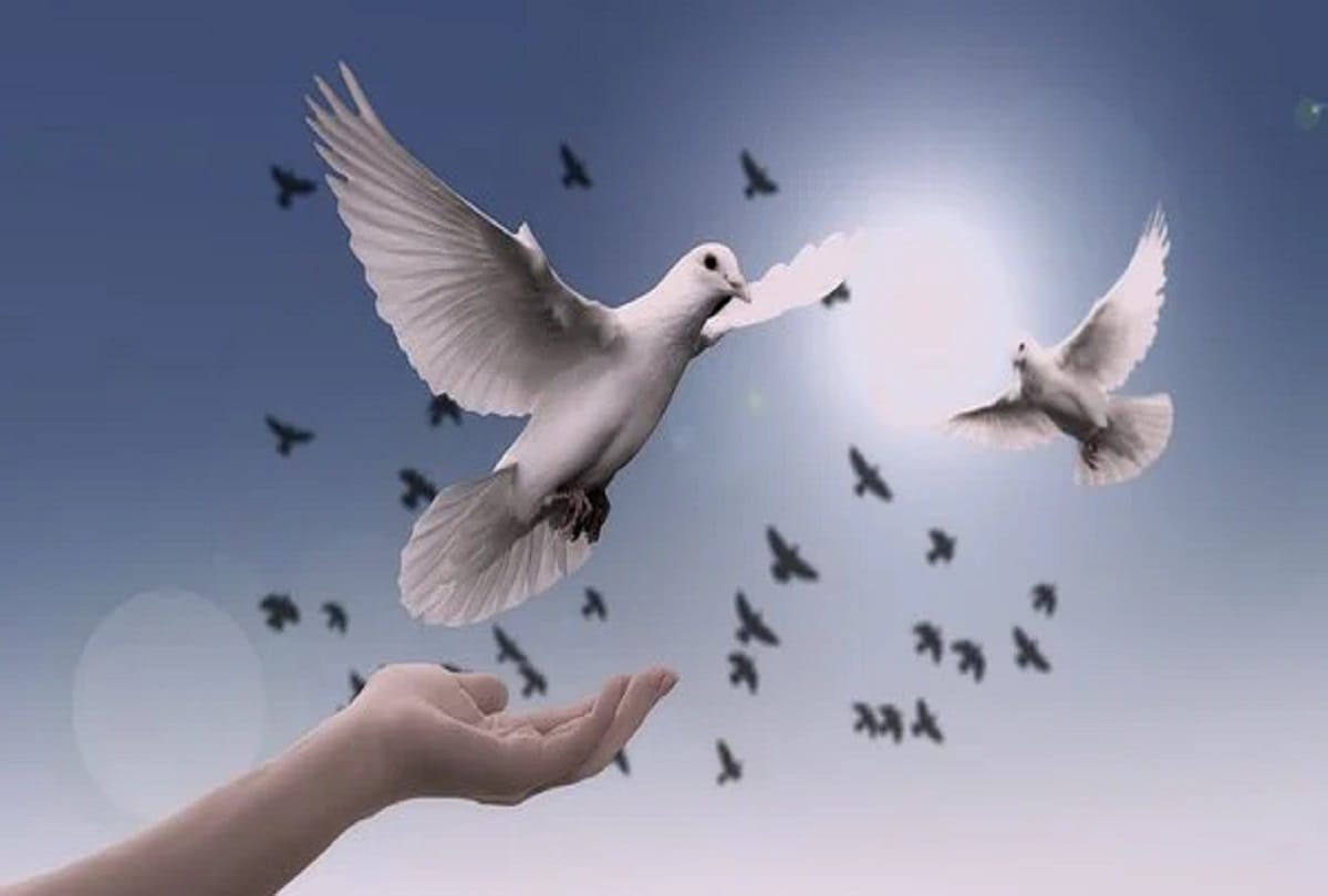 International Peace Day 2020: Date, Theme, History, Significance All You Need to Know