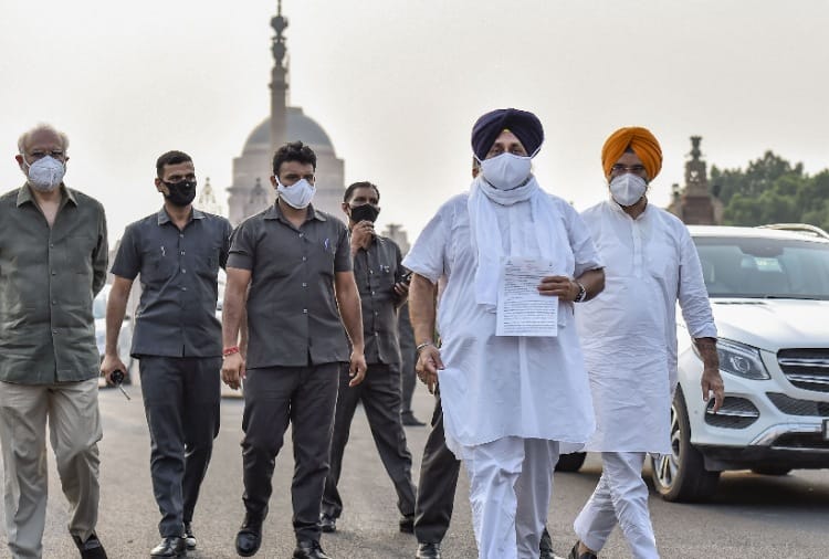 Punjab News in Hindi: Shiromani Akali Dal leaders meet President
