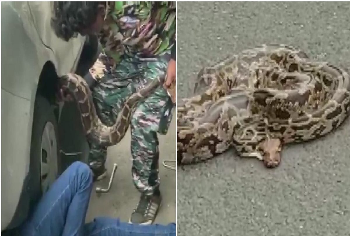 Python at eastern express way mumbai, Eight feet long python was rescued from under a car by snake catchers, on Eastern Express Highway in Mumbai