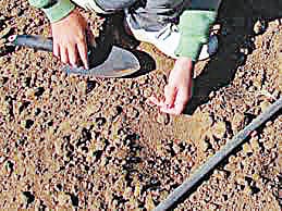 soil test lab