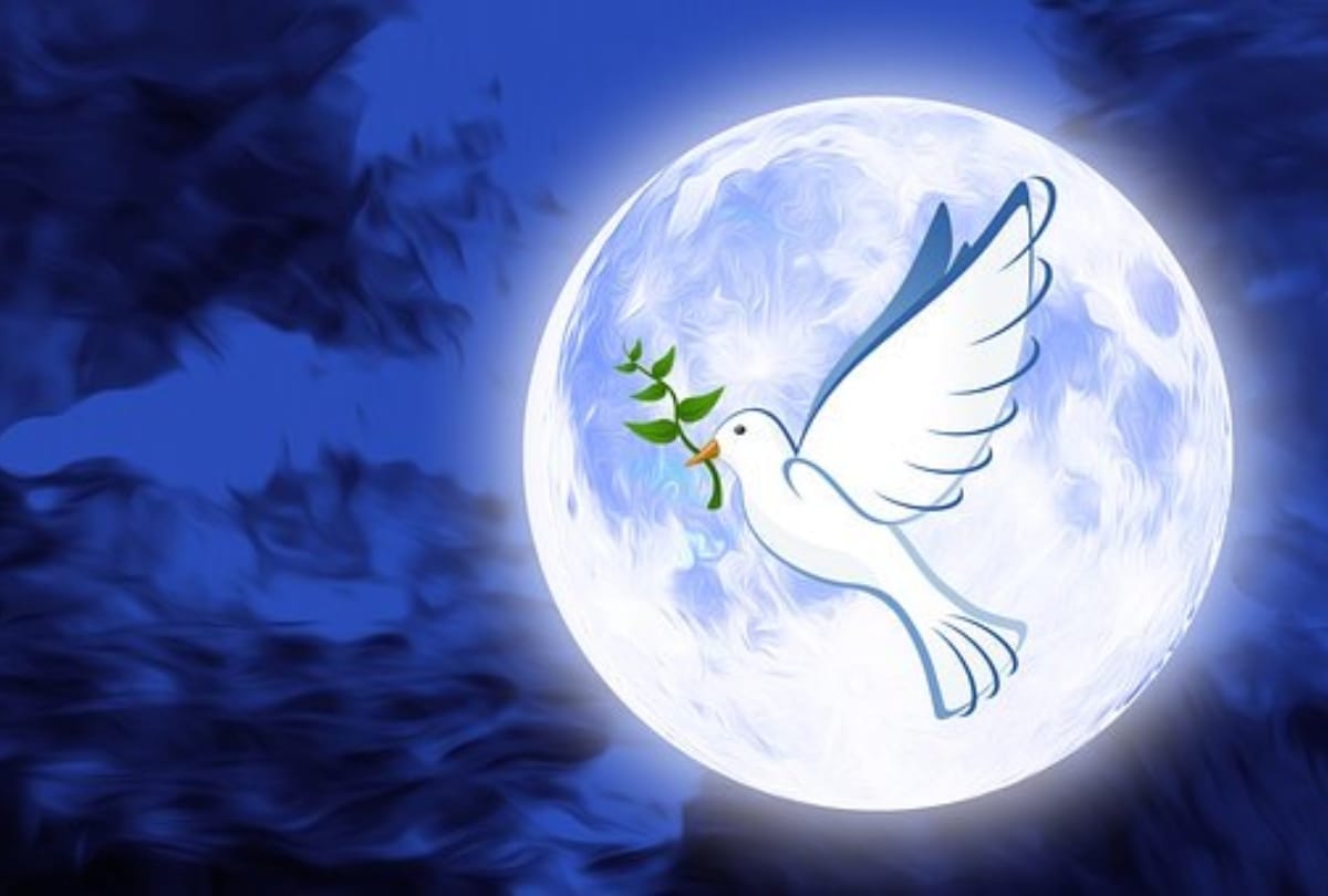 International Peace Day 2020 in Hindi: 21st September World Peace Day 2020 Shri Shri Ravishankar Thoughts On Peace International Day Of Peace