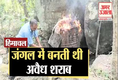 Four kilns of raw liquor destroyed in Paonta himachal, Forest Department takes action