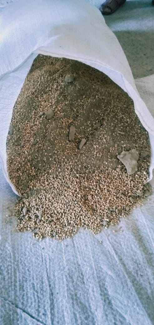 Wheat sent to distribute soil and stone to the poor