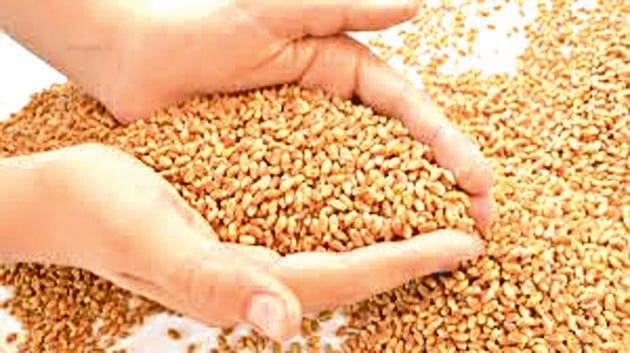 Ration depot holders strike begins in Haryana