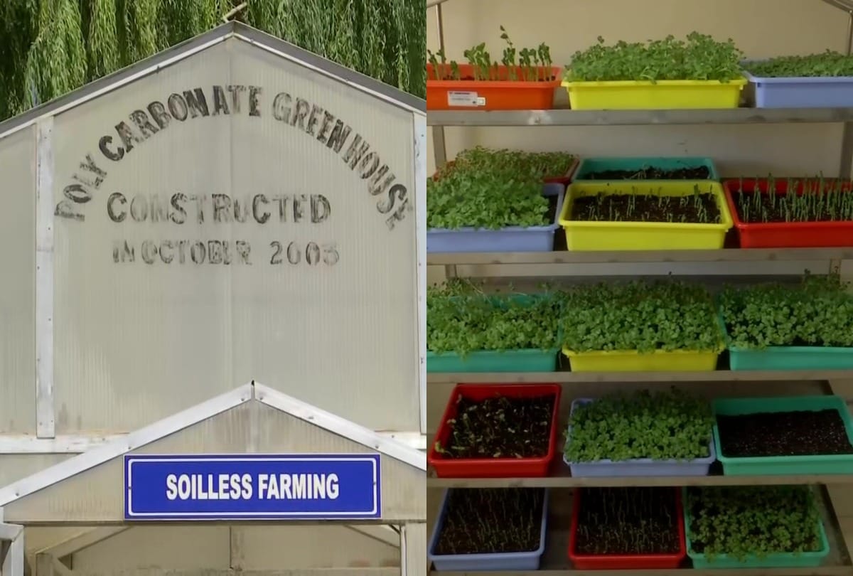 As army prepares for long winter at LAC, DRDO works on developing vegetables under intense weather