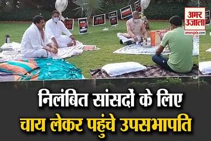 RS Deputy Chairman Harivansh arrives with tea for 8 suspended MPs