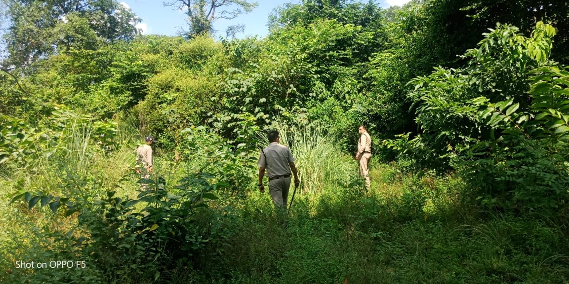 Haridwar news: Eight prisoners escaped from the temporary jail in Roshanabad.