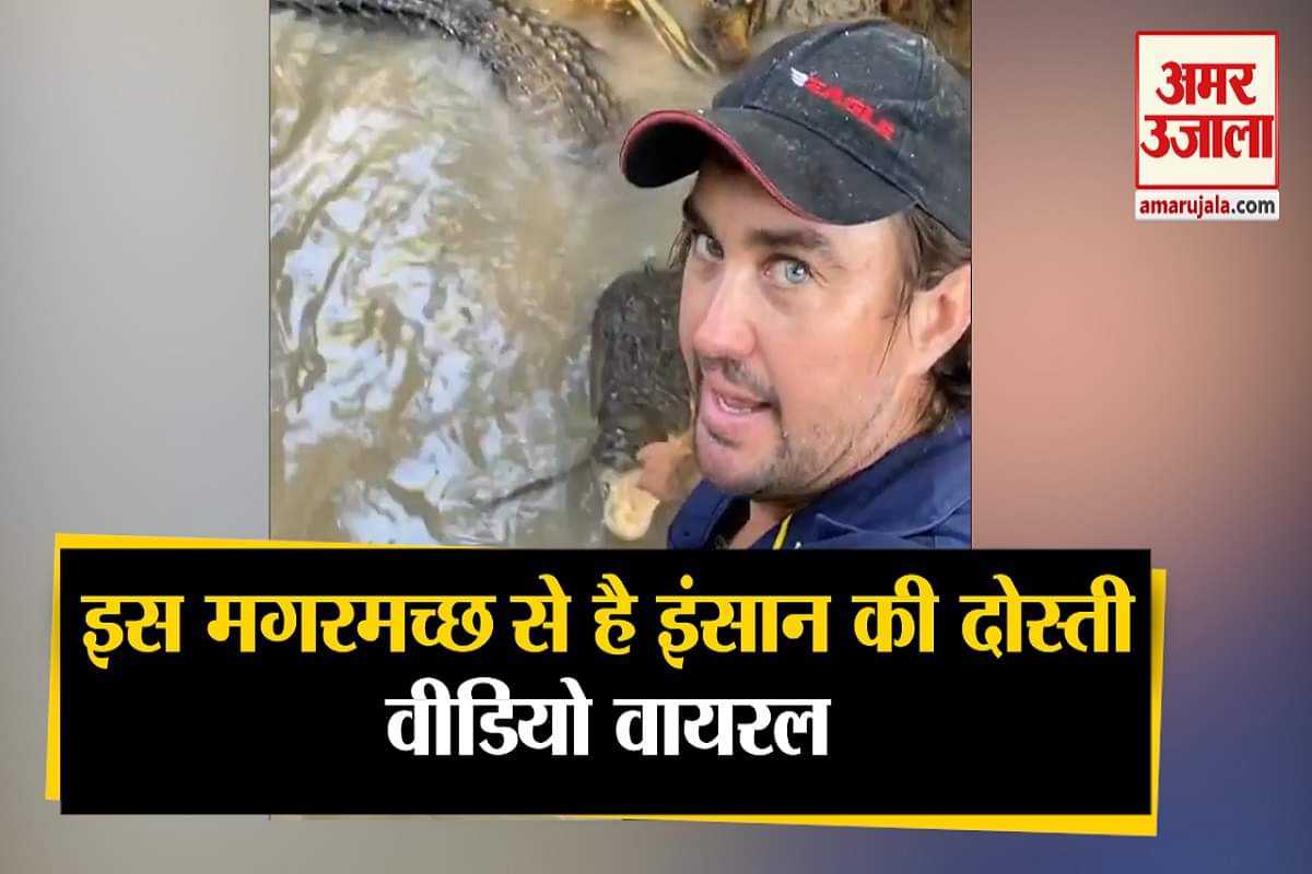 वायरल वीडियो