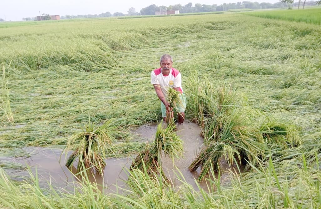 Fields and roads become heavy due to heavy rains