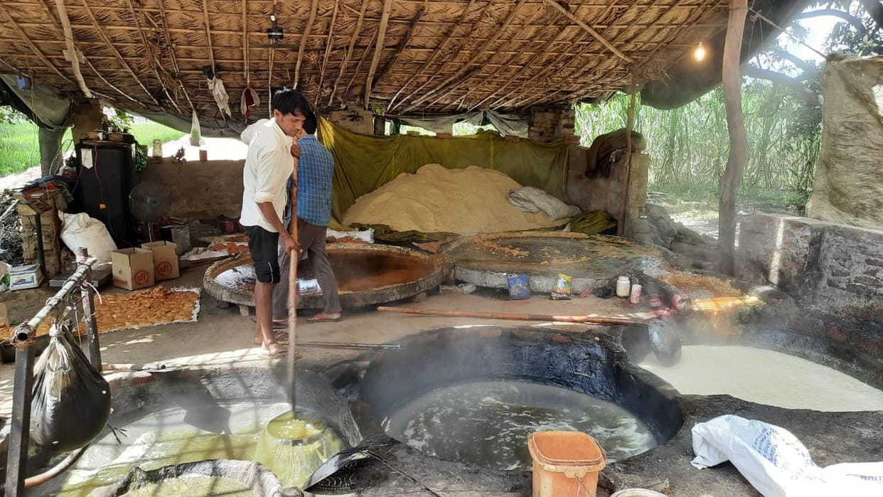 Sugarcane fading, sugar increasing sweetness