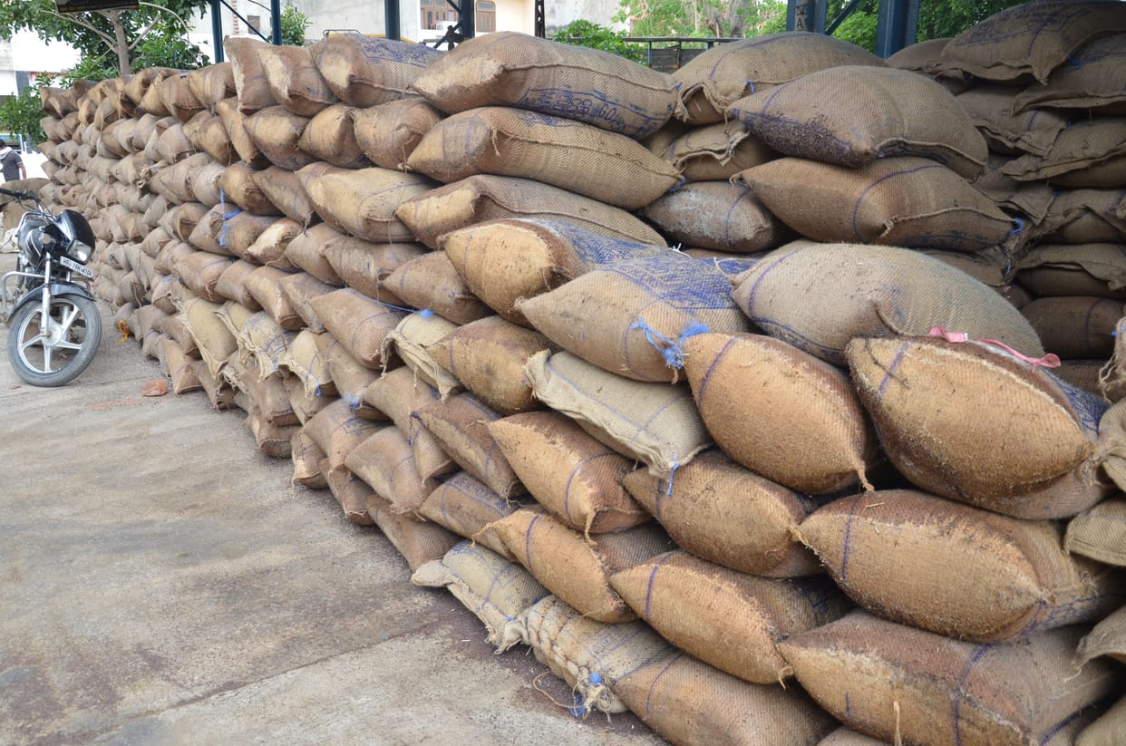 mustured purchase, 250 crore, bhiwani dadri market