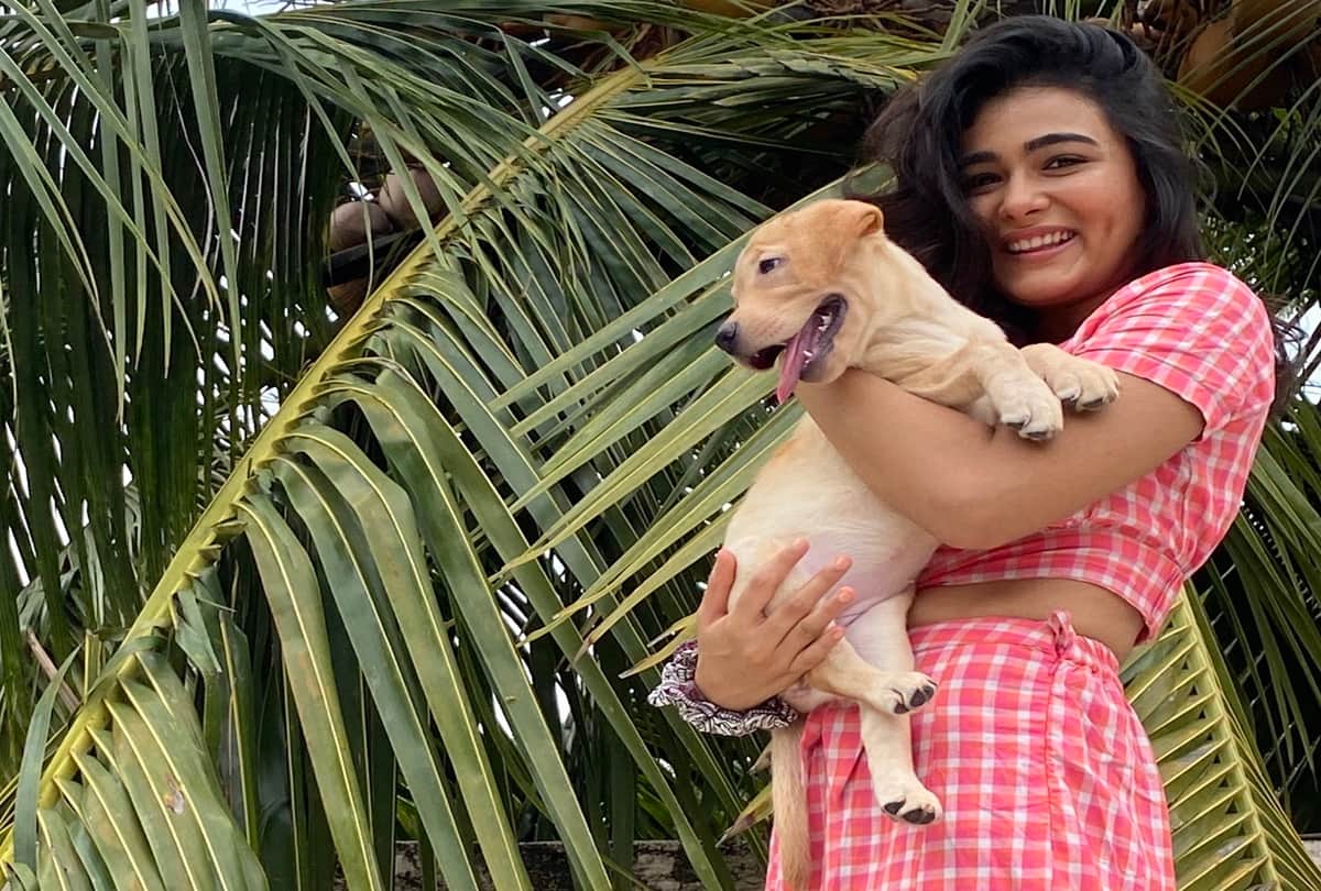 Arjun Reddy Actress Shalini Pandey Celebrated Her Birthday With Family after Long Time