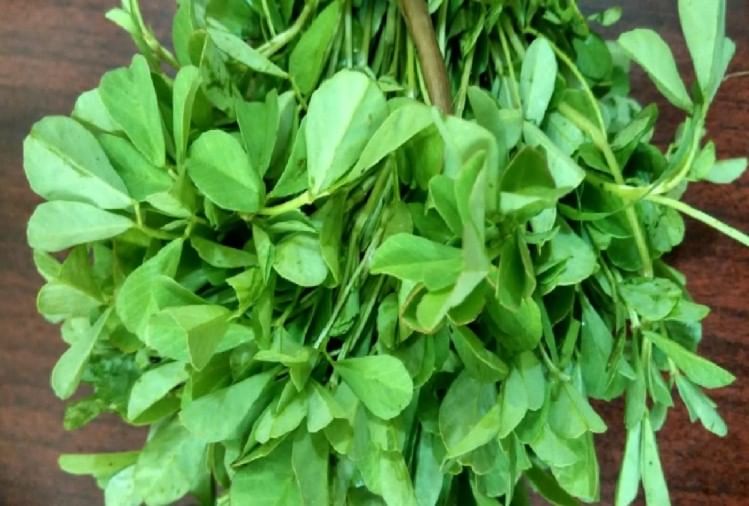 Fenugreek Leaves Health Benefits And Advantages Methi Ke Patte Ke Fayde