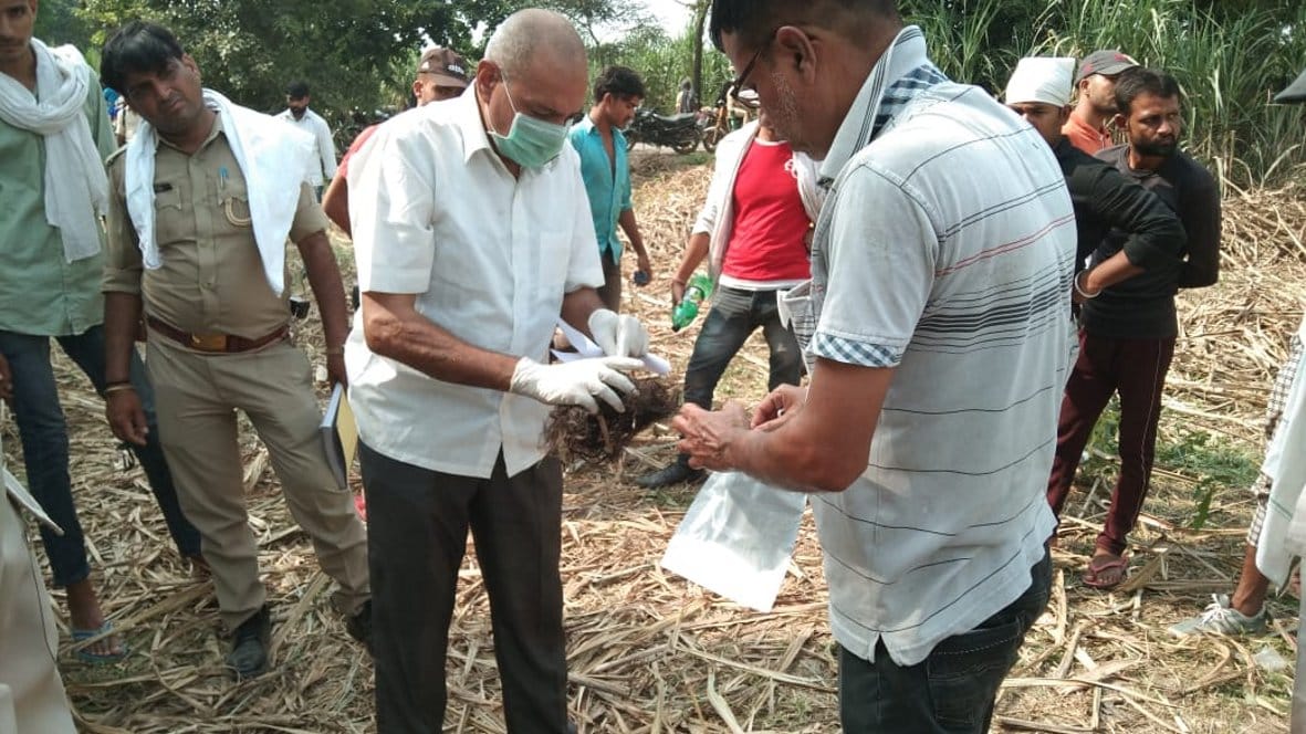 Purse, hair and bones found in the farm in Hisavada
