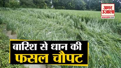 raining continuously for 24 hours in Gorakhpur