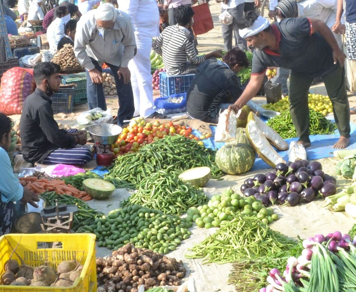 vegitable costliness