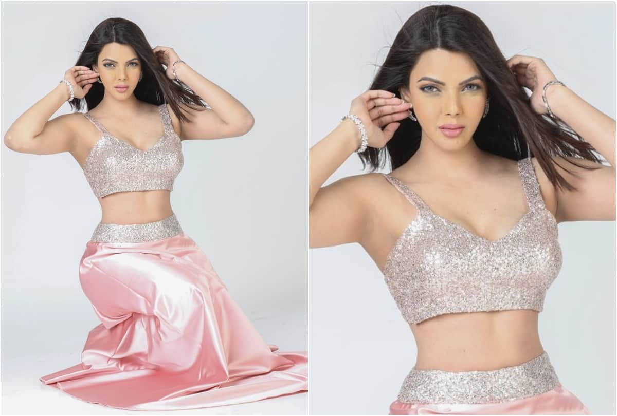 Sherlyn Chopra raj kundra adult video case here controversies of actress Sherlyn Chopra profile