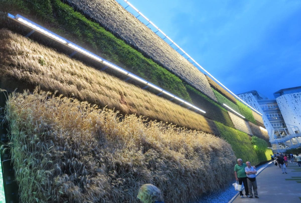 vertical farming in Israel Wall farming system