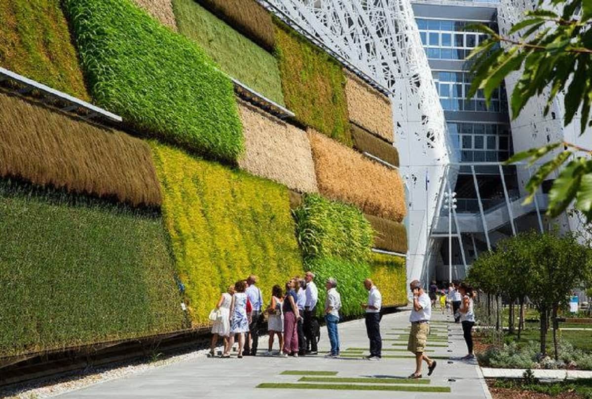 vertical farming in Israel Wall farming system