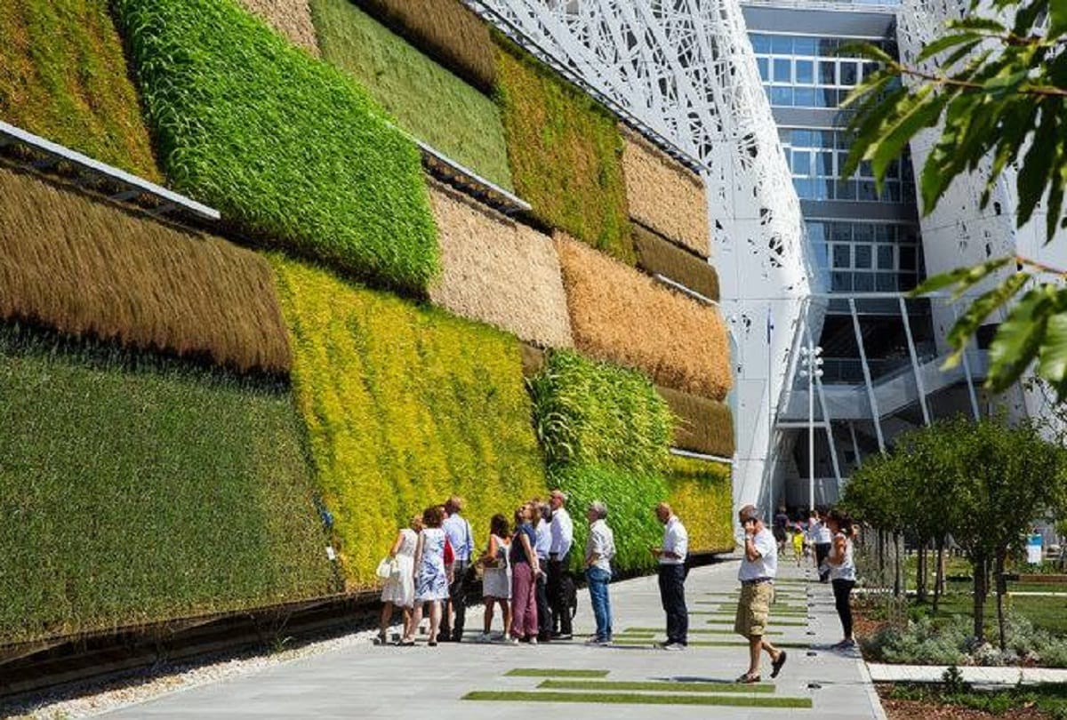 know about vertical farming wall farming system in israel