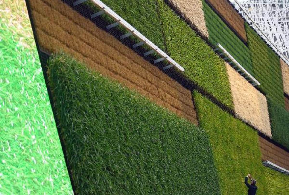 vertical farming in Israel Wall farming system