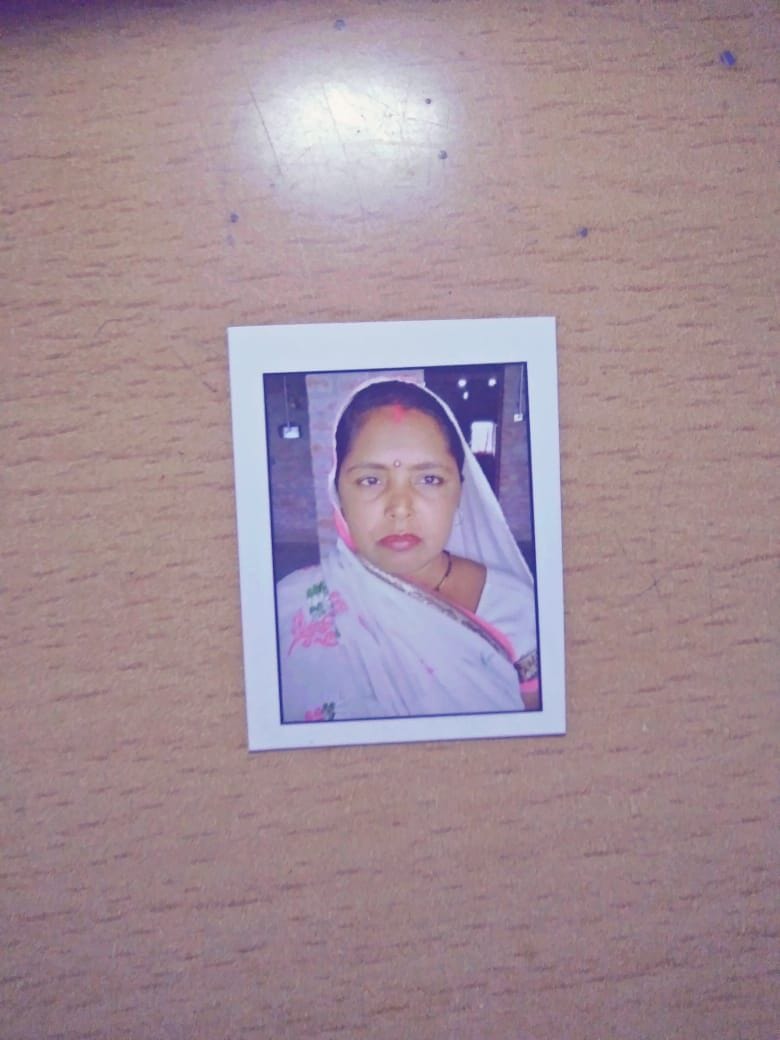Woman dies due to dengue, dozens sick