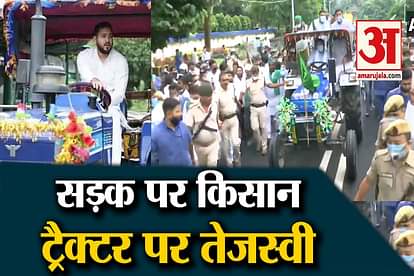 Bharat Bandh Tejashwi Yadav News in Hindi: Tejashwi Yadav, Rashtriya Janata Dal (RJD) Leader Drives a Tractor
