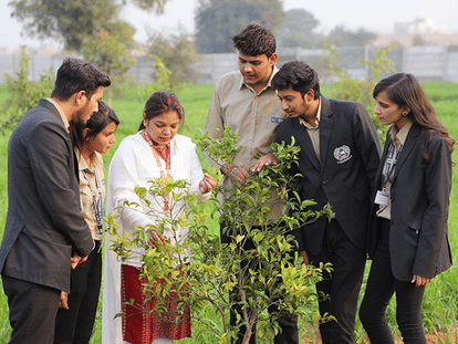 SGT Universty providing B.Sc. (Hons) Horticulture Course 