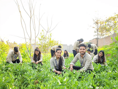 SGT Universty providing B.Sc. (Hons) Horticulture Course 