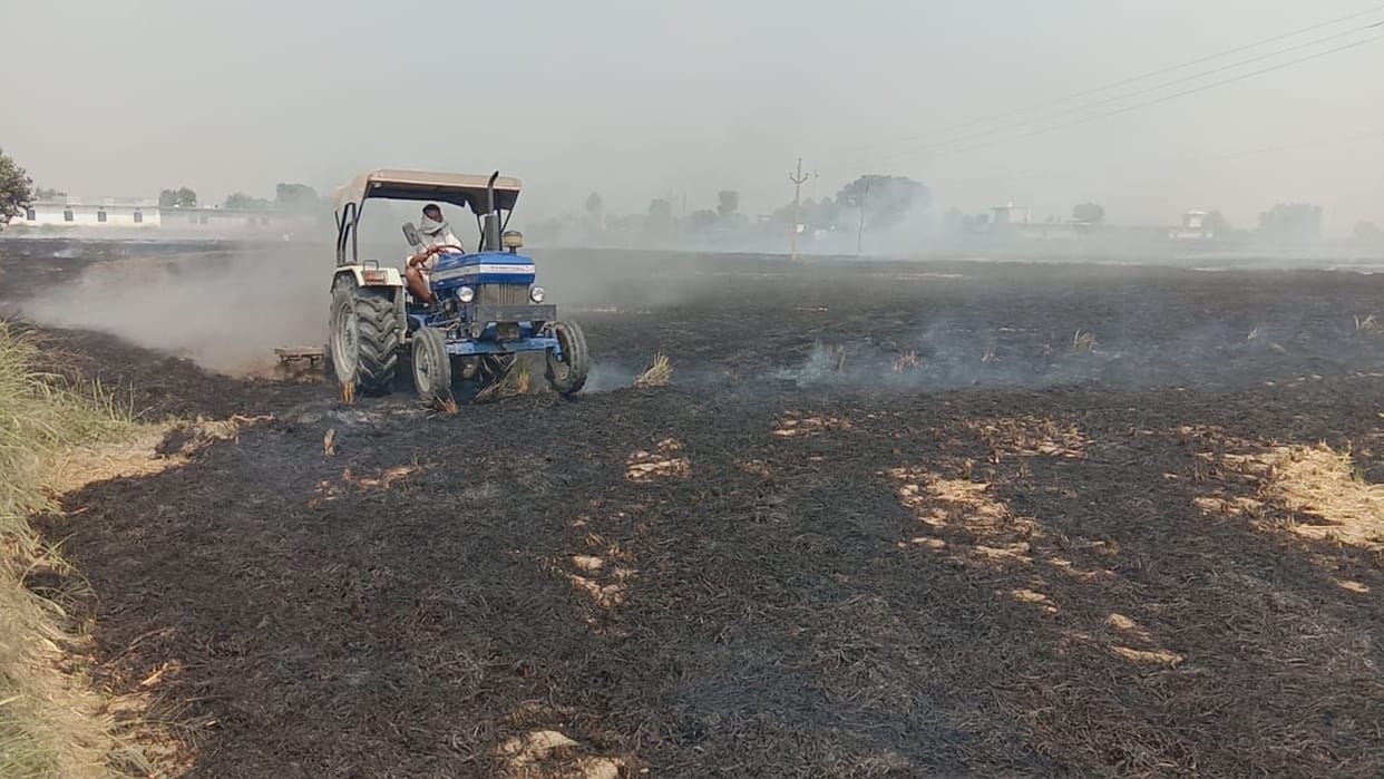 55 cases of stuble burning reported in 10 days, Amritsar