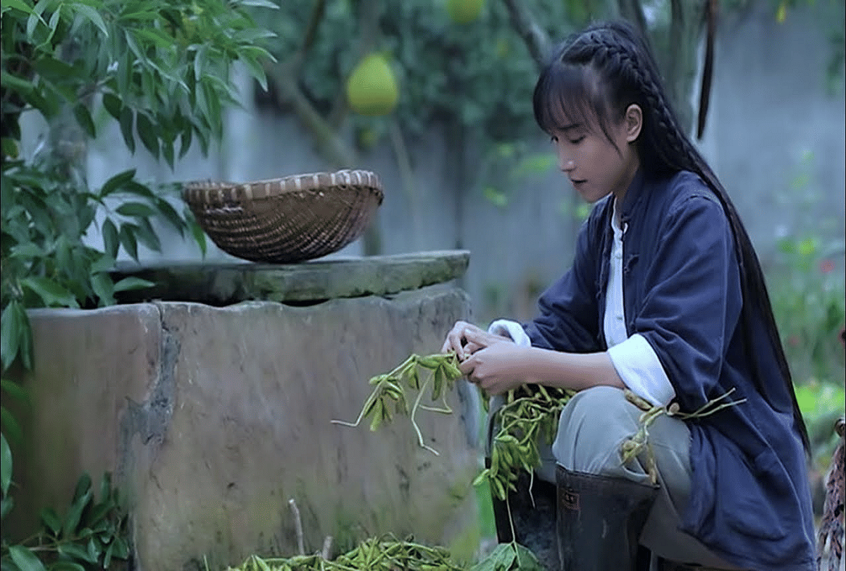 li ziqi food blogger has gained recognition from Chinese recipe, earning in crores