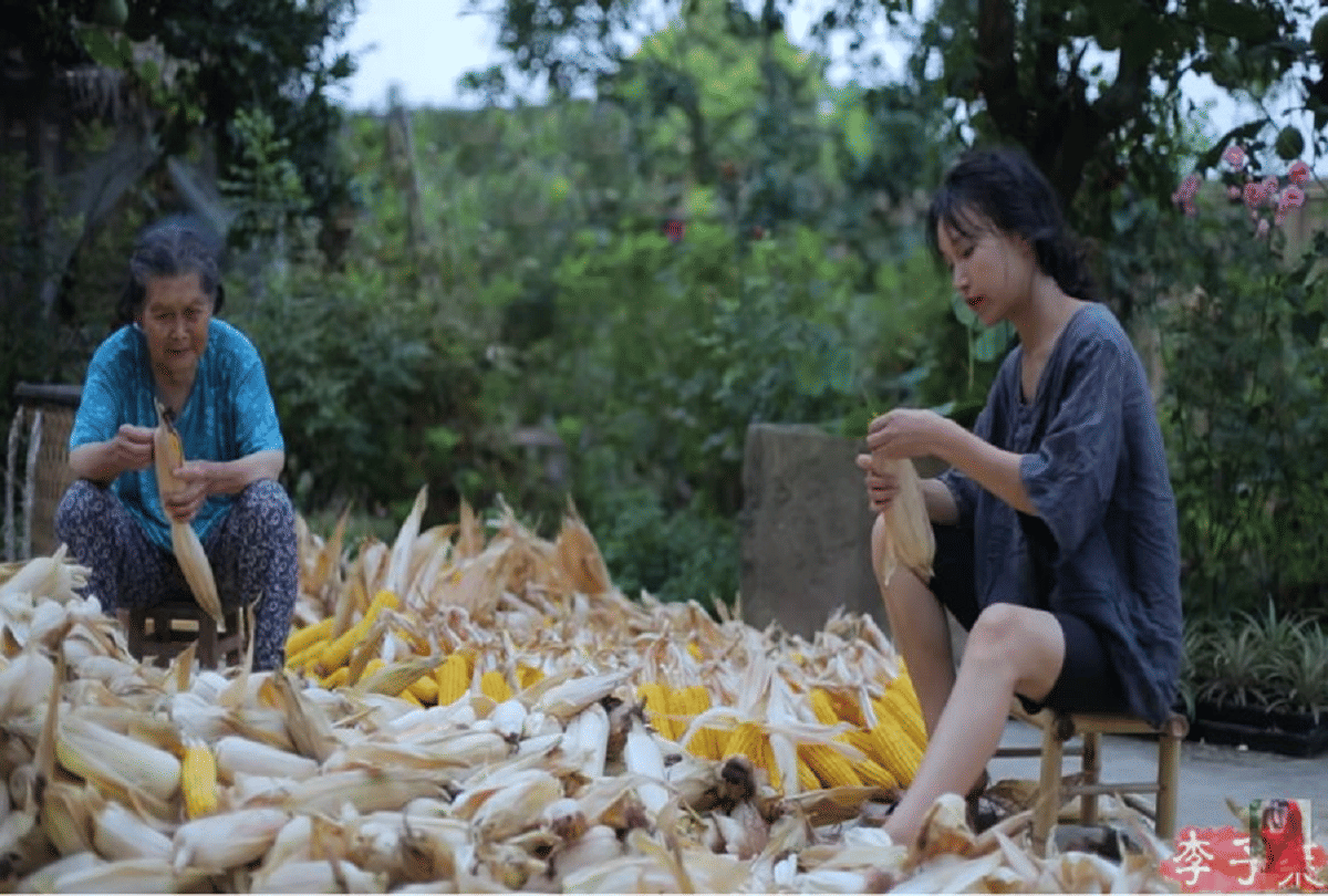 li ziqi food blogger has gained recognition from Chinese recipe, earning in crores