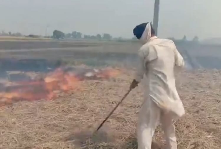 Punjab News in Hindi: Stubble burning starts in Punjab